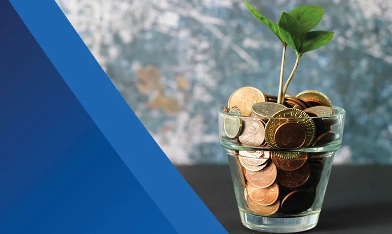 Investment Bonds