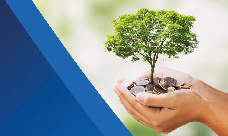 Individual Savings Account (ISA)