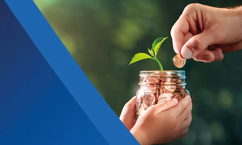 Venture Capital Trust & Enterprise Investment Scheme