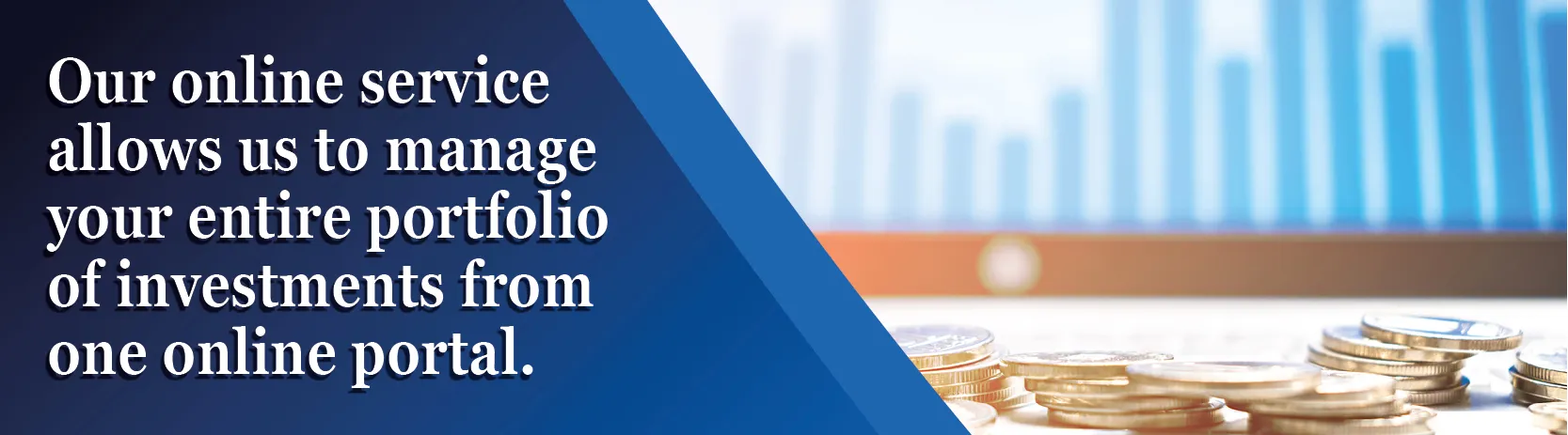 Investment Portfolio Solutions