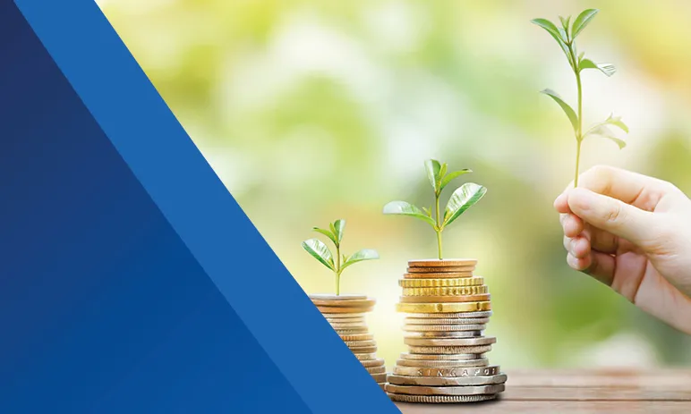 Guaranteed Income Bonds
