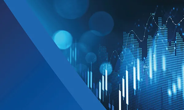9377Considerations and Risks