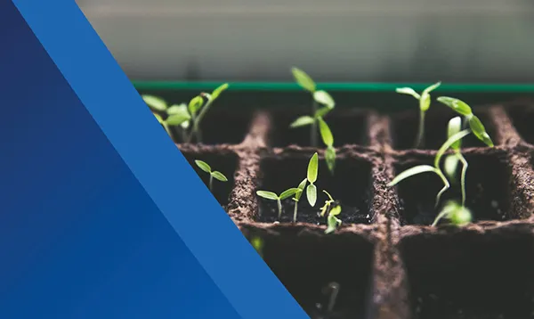 ESG Investing