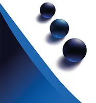 Considerations and Risks – Choice Financial Solutions